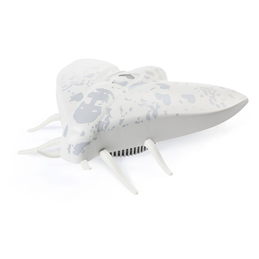 lento white 10 year smoke alarm